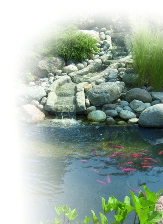 Cascadas y cursos de agua