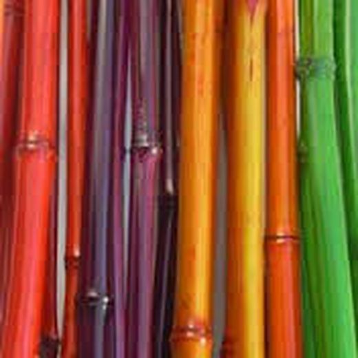Decoration accessories and accessories