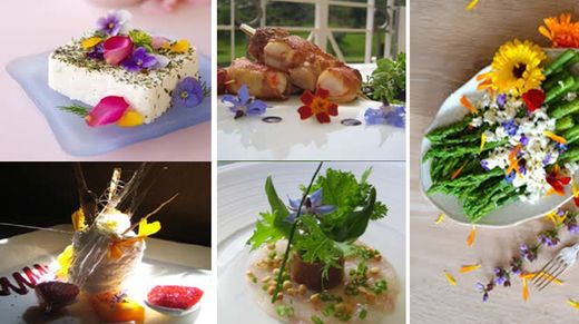 Fleurs comestibles