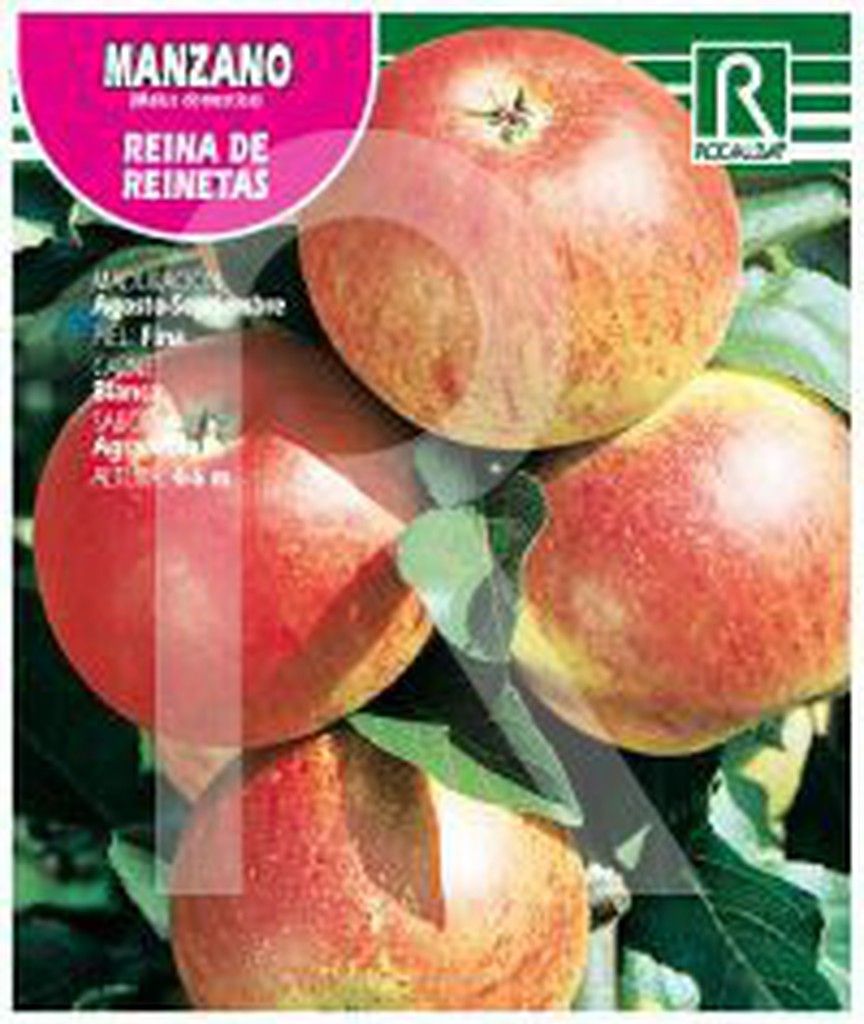 Fruit trees