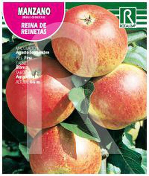 Les arbres fruitiers. Dernière unité!