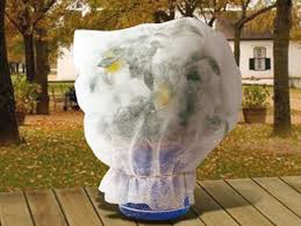 Capas de hibernação anti-geada