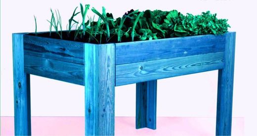 Urban garden in wood
