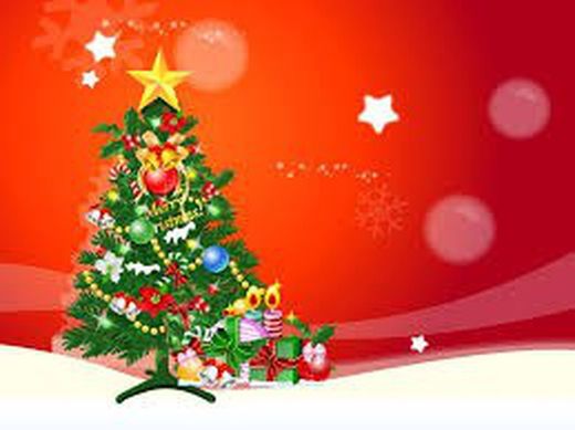 Plantes et les arbres de Noël