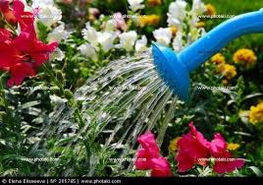 Regaderas y Pulverizadores