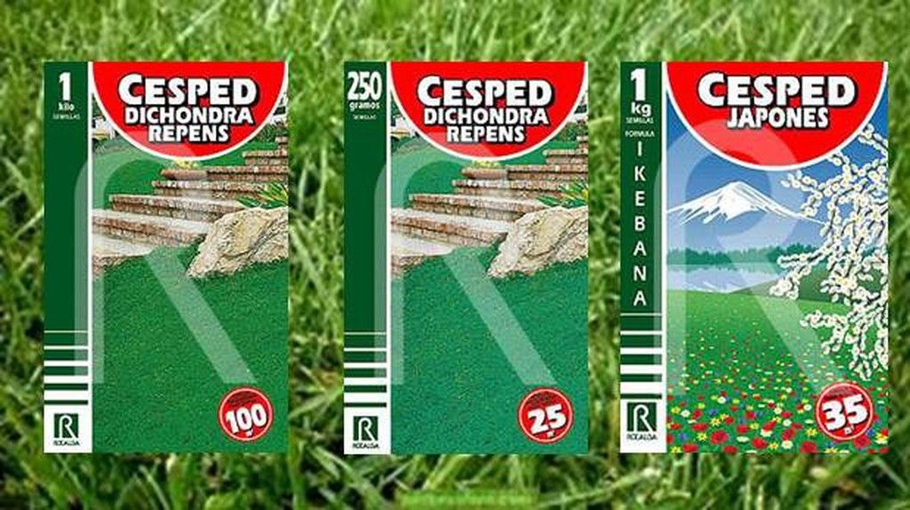 Semillas de césped