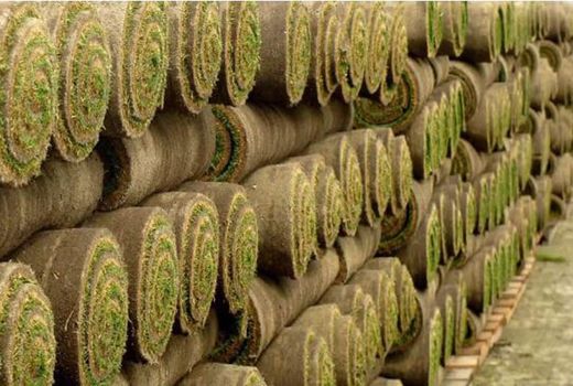 gazon naturel en rouleaux