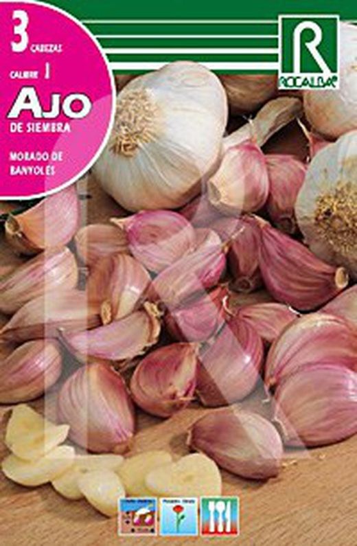 Ajos de siembra morado de Banyoles
