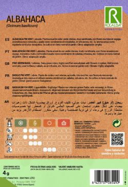 BASIL Genovèse großes Blatt