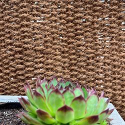 Tapete de coco para pisos e cercas