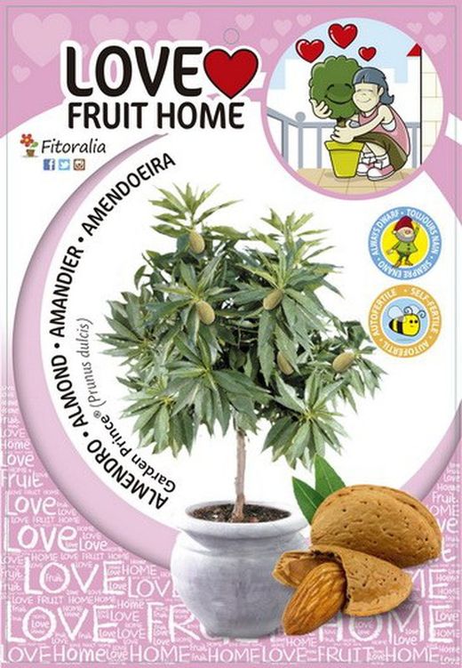 Almendro ecolÃ³gico