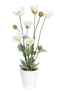 Amapola Artificial en maceta pequeña