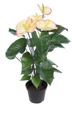 Anthurium Artificial