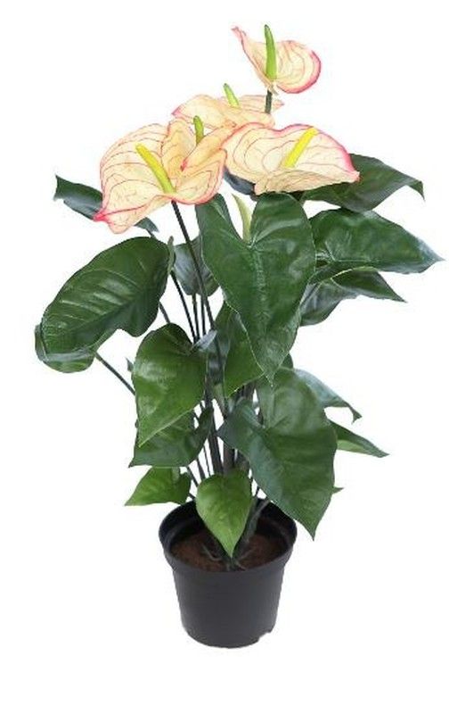 Anthurium Artificial