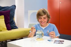 Aqua Dragons Jurassic Dinosaur Egg Fish Tank