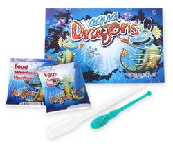 Aqua Dragons Underwater World