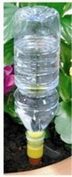 Aqua solo (bottle cone)