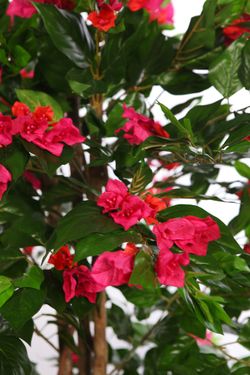 Arbol artificial Buganvillea 150 cm