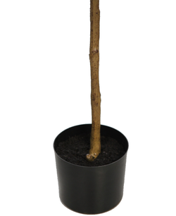 Artificial Bougainvillea Tree 140cm