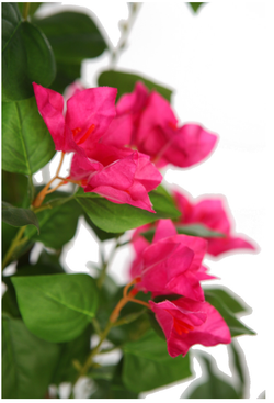 Artificial Bougainvillea Tree 140cm