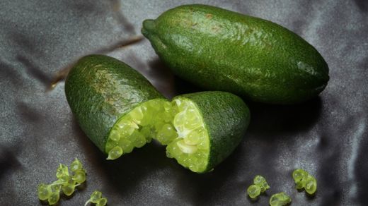 Cí­trico Microcitrus Australasica