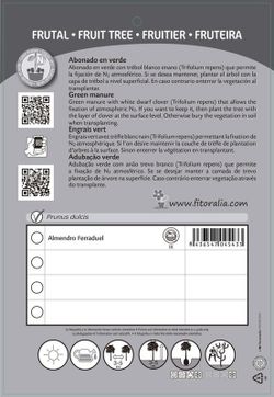 Árbol frutal Almendro ferraduel prunus dulcis