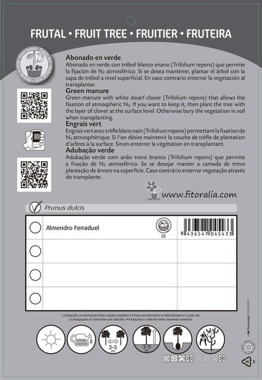 Árbol frutal Almendro ferraduel prunus dulcis
