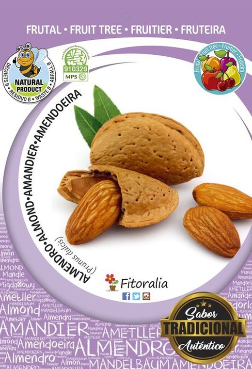 Árbol frutal almendro guara prunus dulcil