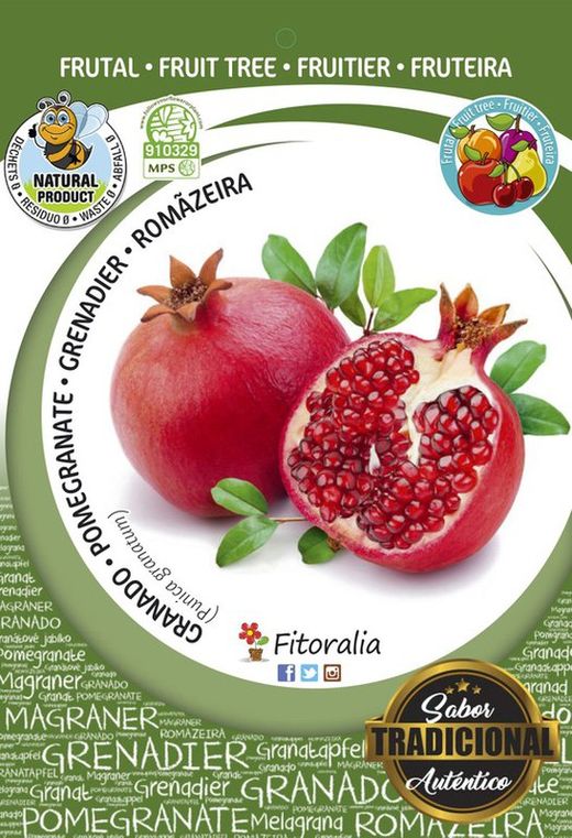 Árbol frutal Granado Mollar de Valencia - Punica granatum