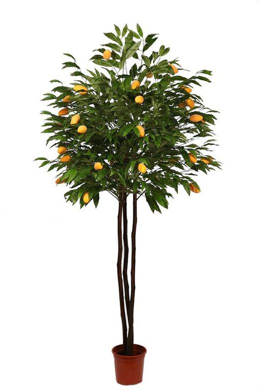 Albero da frutto di mango artificiale 190 cm