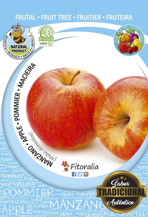 Árbol frutal Manzano Royal Gala - Malus domestica - M 25