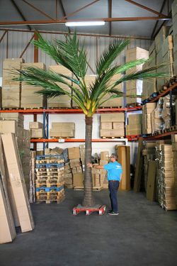 Arbre artificiel palmera noix de coco 510 cm