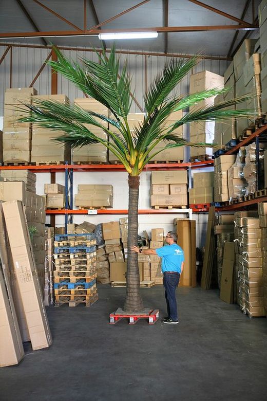 Arbre artificiel palmera noix de coco 510 cm