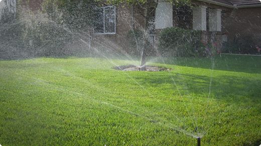Hunter MP Rotator MP1000 Series Sprinkler