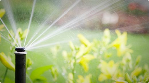 Hunter MP Rotator MP1000 Series Sprinkler