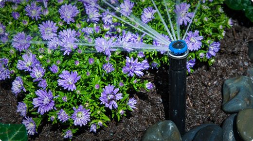 Hunter MP Rotator MP3000 Series Sprinkler