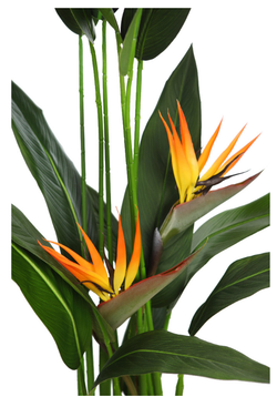 UCCELLO DEL PARADISO ARTIFICIALE 135CM