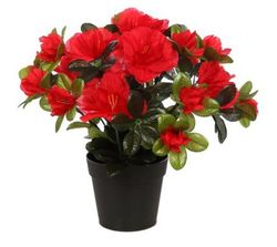 Azalea artificiale
