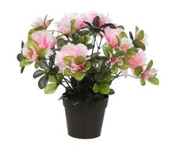 Azalea artificiale