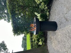 Churrasqueira a lenha BonBiza