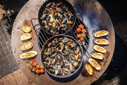 Churrasqueira a lenha BonBiza