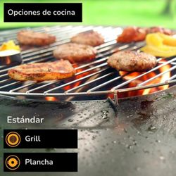 Churrasqueira a lenha BonBiza