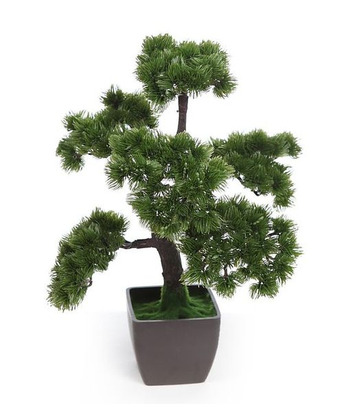 Bonsai di bosso artificiale