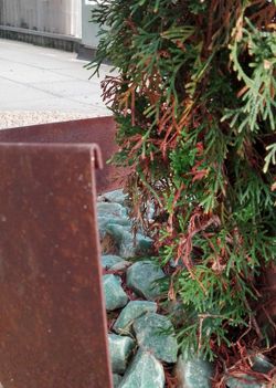 Polished edge edging for tree grates 1.00 Ø