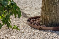 Borda de árvore de aço circular marrom