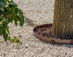 Rustless tree grating 100Ø