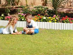 Borduras LOP imitación tronco partido