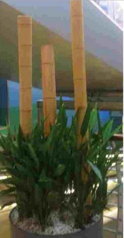 Cañas de bambú decorativas