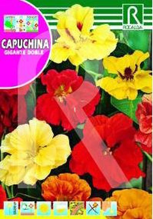 Capuchina Gigante doble 10g