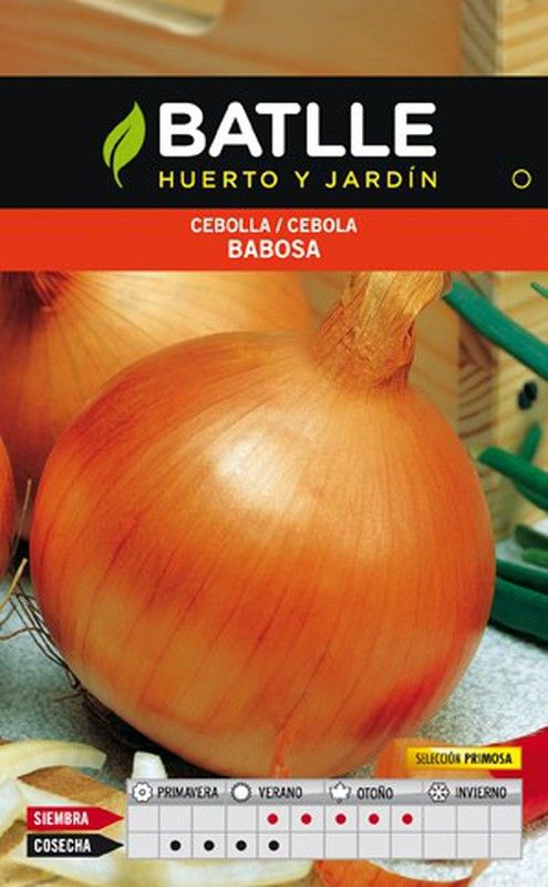 Cebolla Babosa